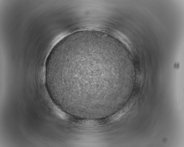 X0000098041079200804181250