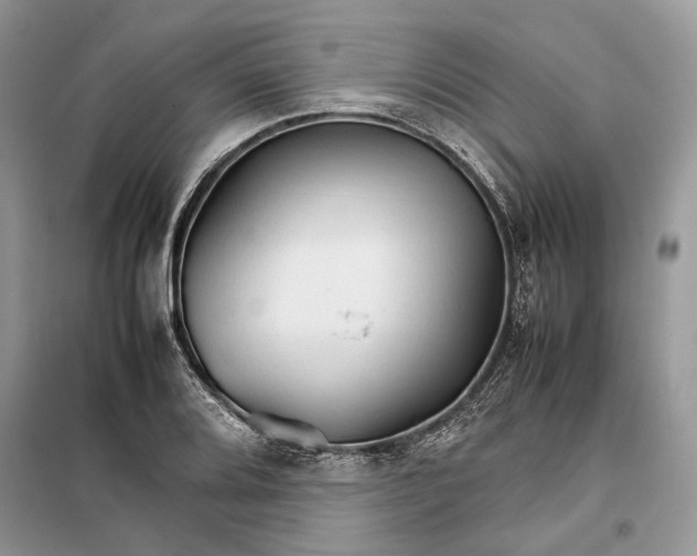 X0000098041080200804181250