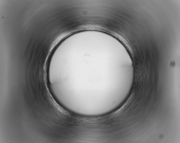 X0000098041082200804181250