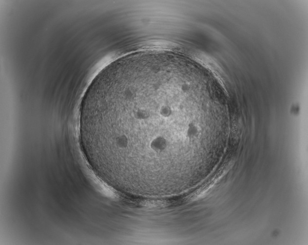 X0000098041083200804181250