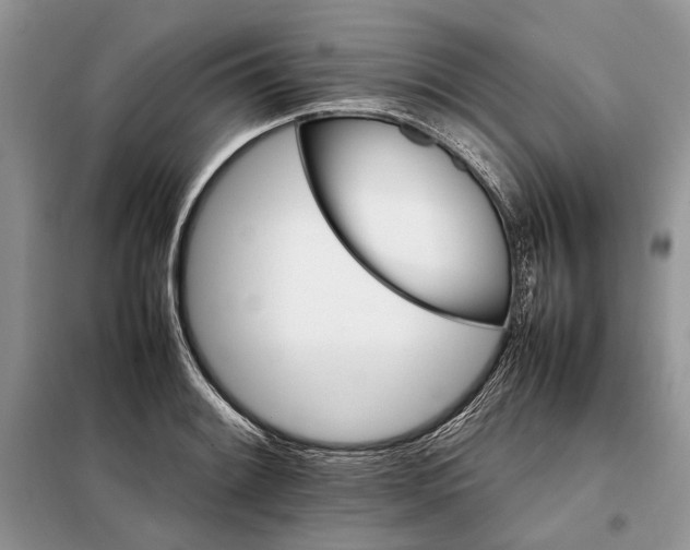 X0000098041084200804181250