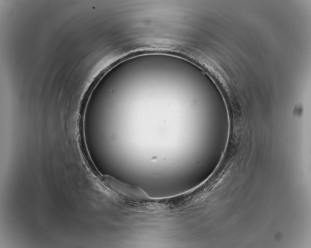 X0000098041085200804181250