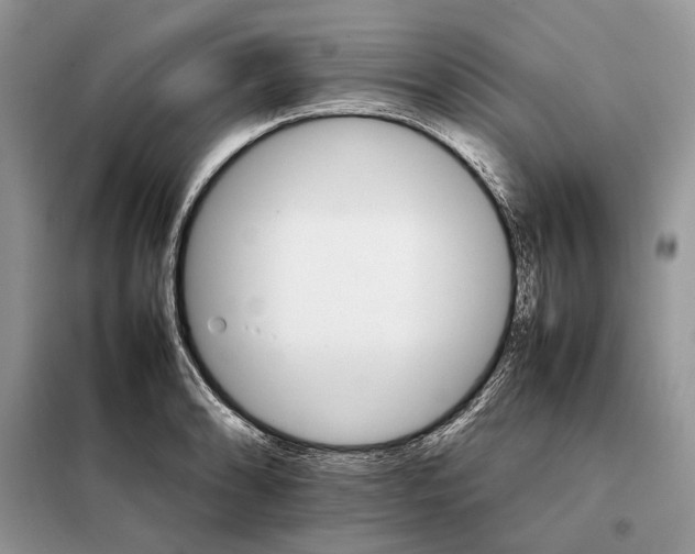 X0000098041086200804181250