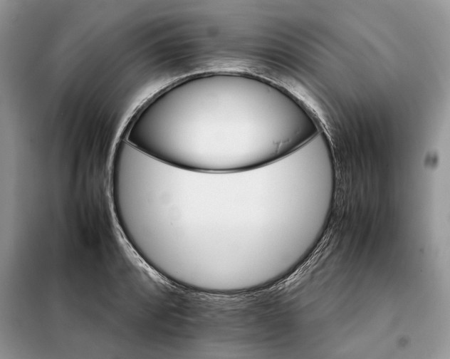 X0000098041088200804181250