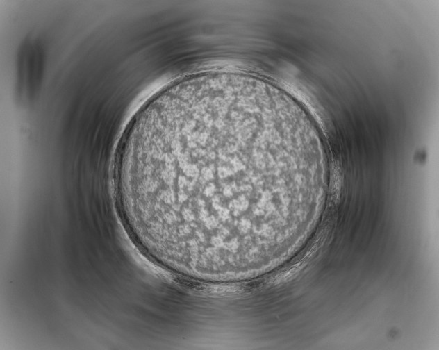 X0000098041090200804181249