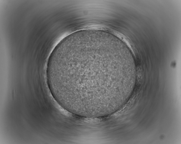 X0000098041091200804181249