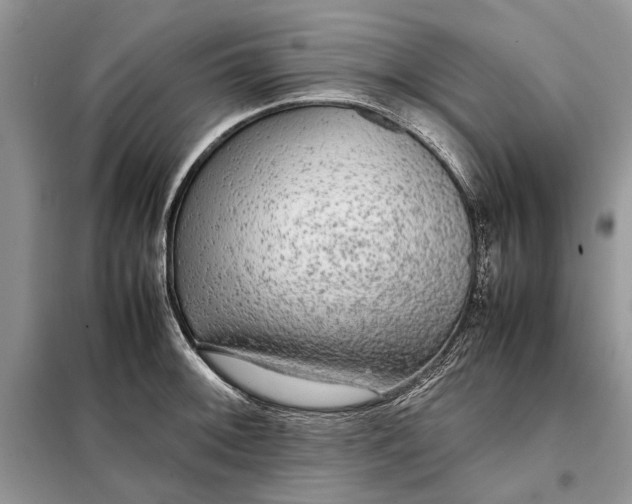 X0000098041092200804181249