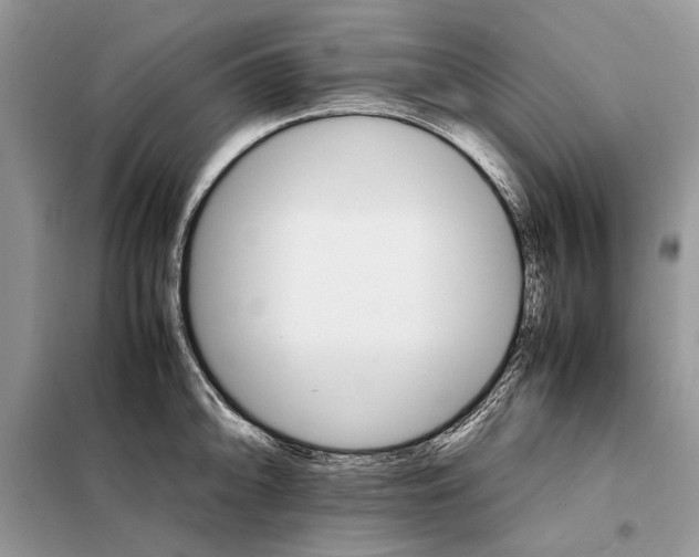 X0000098041094200804181249