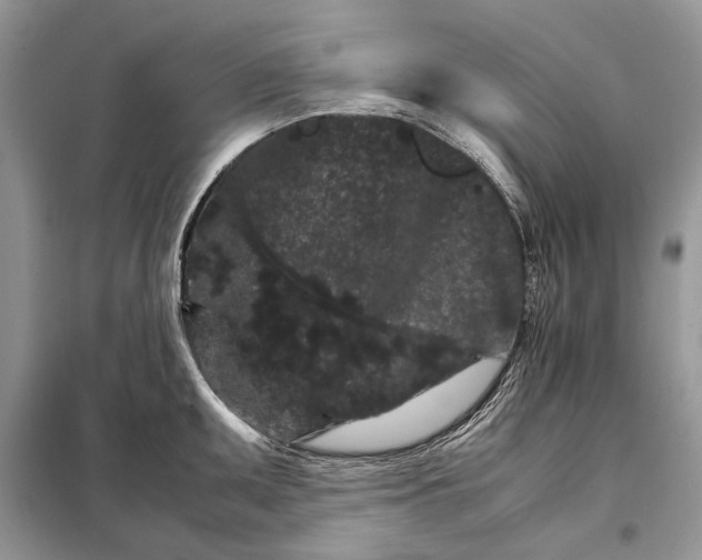 X0000098041095200804181249