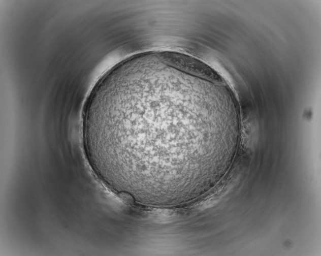 X0000098041096200804181249