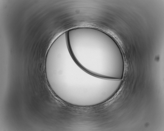 X0000098041097200804181249