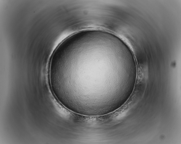 X0000098041098200804181249