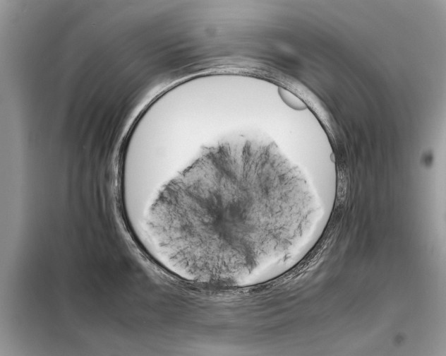 X0000098041099200804181249