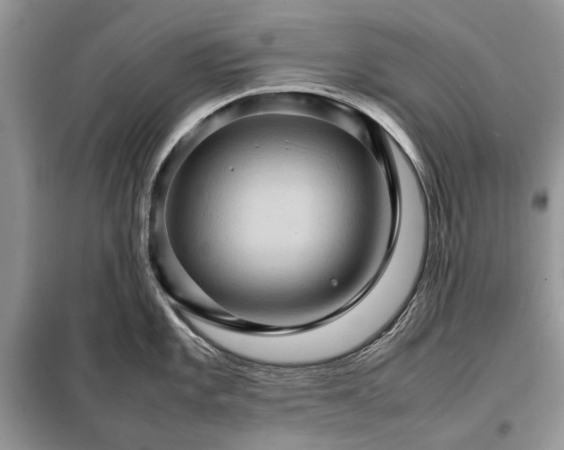 X0000098041101200804181249