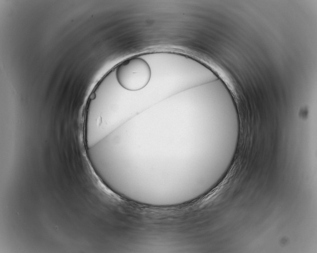 X0000098041102200804181249