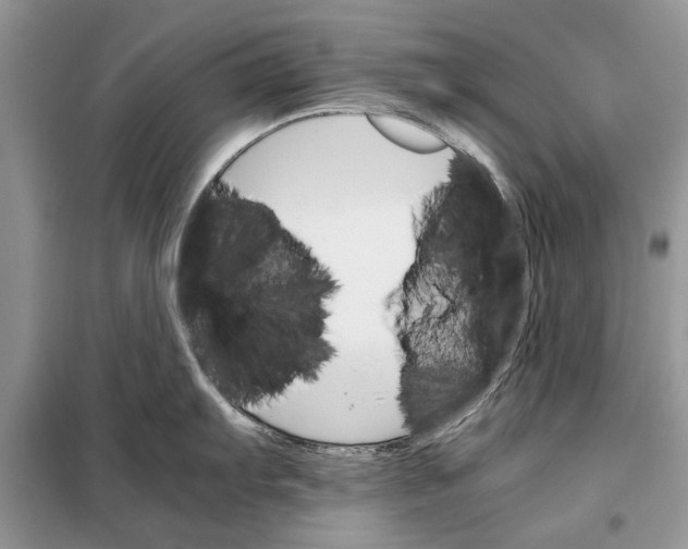 X0000098041103200804181249