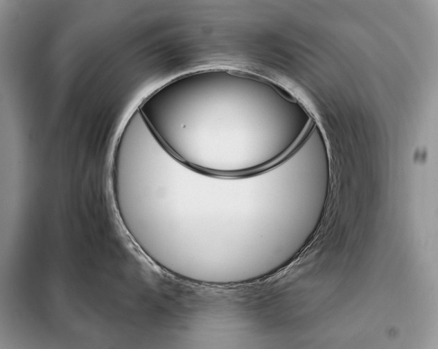 X0000098041104200804181249