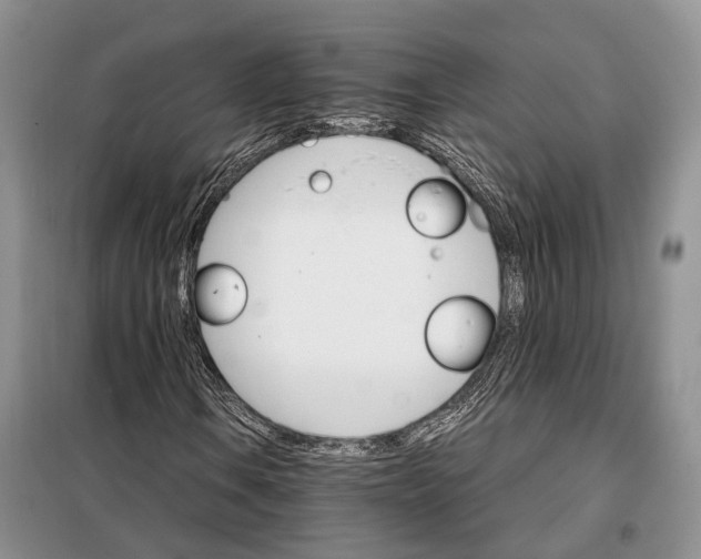 X0000098041106200804181248