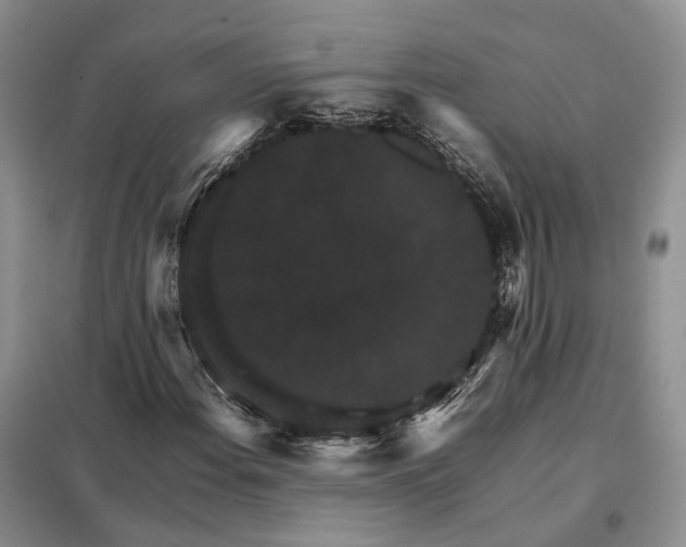 X0000098041108200804181248