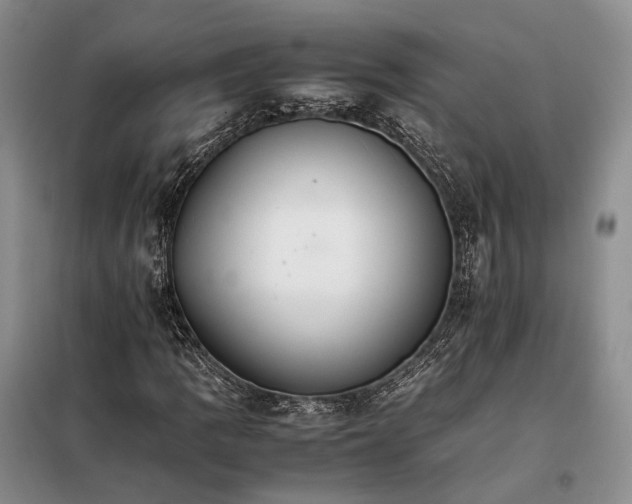 X0000098041109200804181248