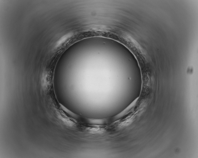 X0000098041110200804181248