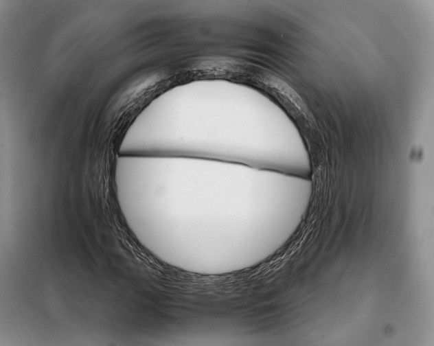 X0000098041111200804181248