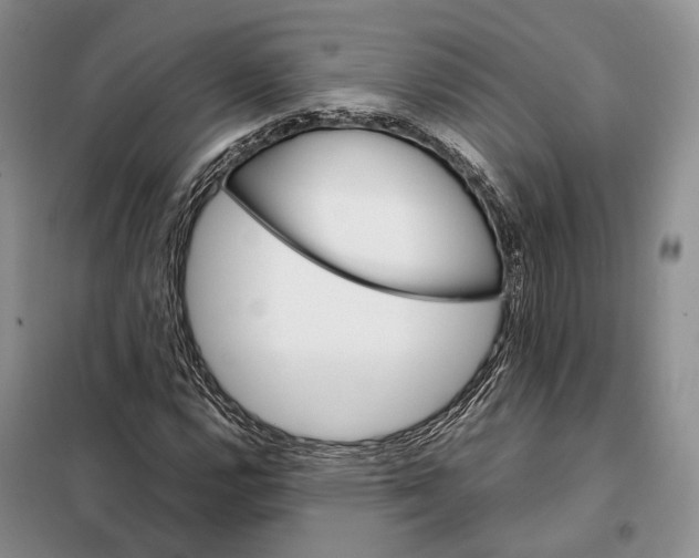 X0000098041112200804181248