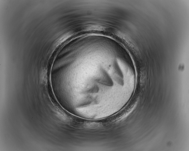 X0000098041113200804181248