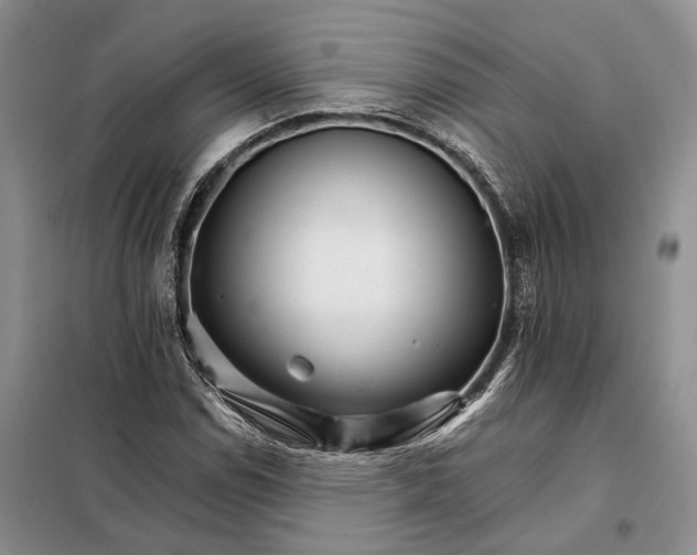 X0000098041114200804181248