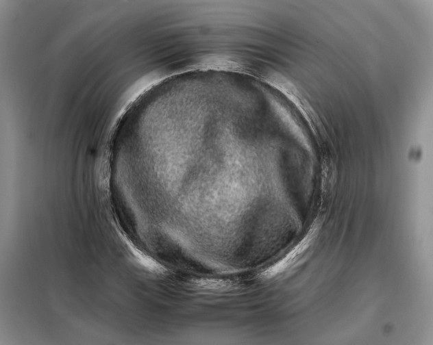 X0000098041115200804181248