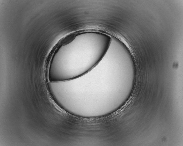 X0000098041116200804181248