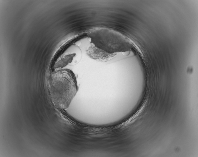 X0000098041117200804181248