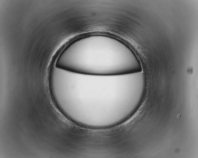 X0000098041118200804181248