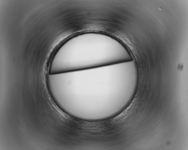 X0000098041119200804181248