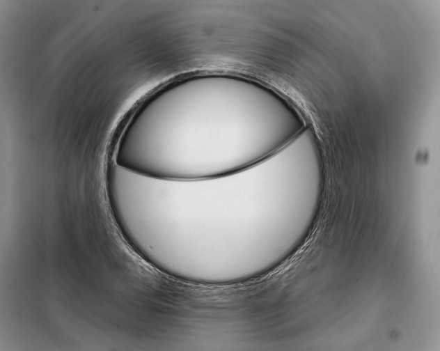 X0000098041120200804181248