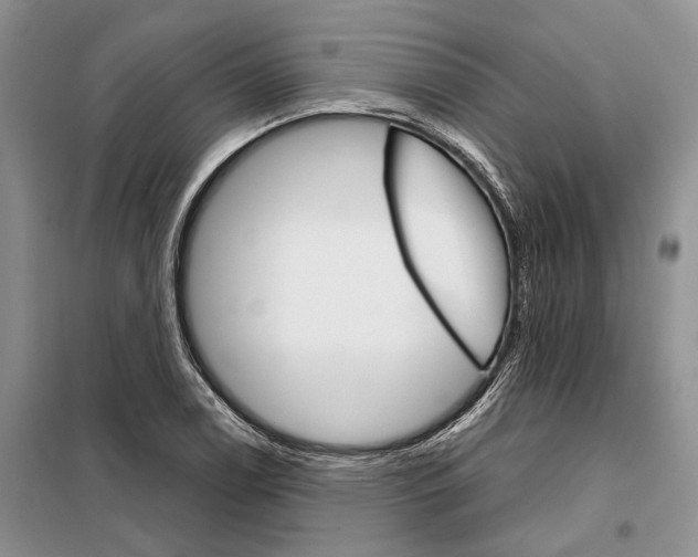 X0000098041122200804181249