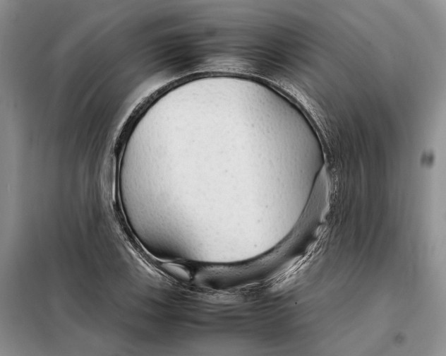 X0000098041123200804181249