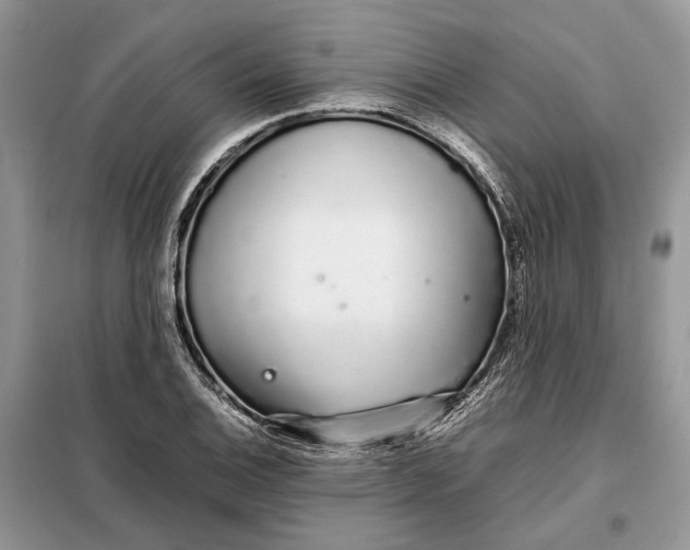 X0000098041124200804181249