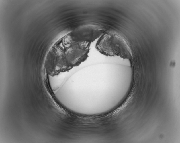 X0000098041125200804181249