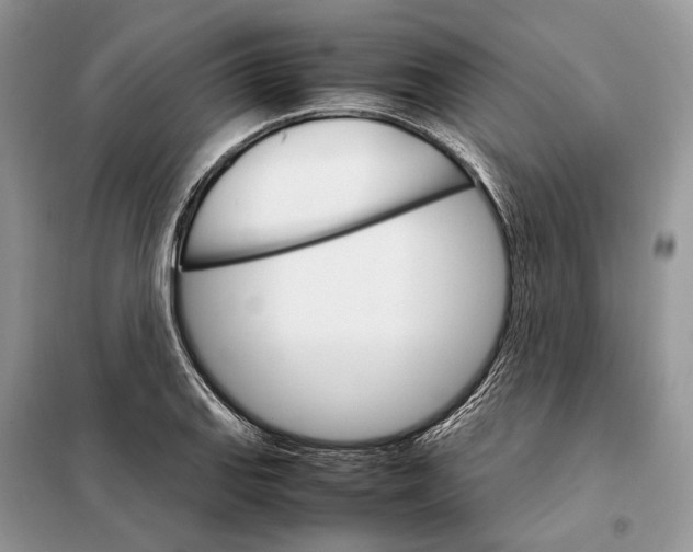 X0000098041127200804181249