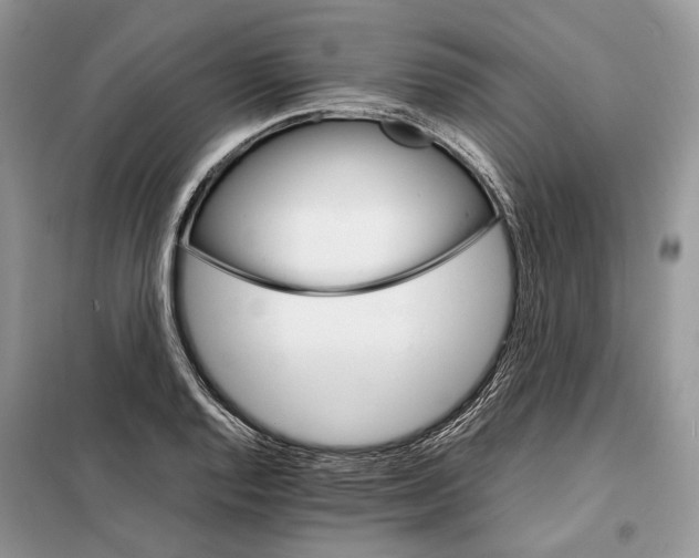 X0000098041128200804181249