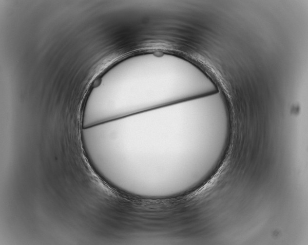 X0000098041129200804181249