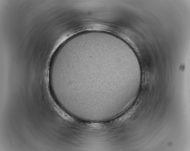 X0000098041130200804181249