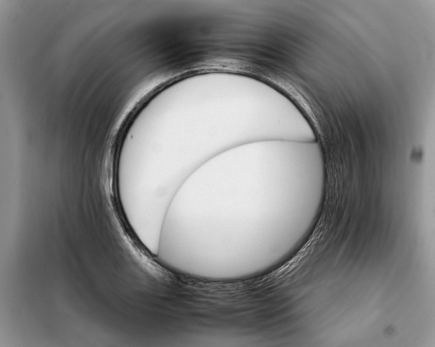 X0000098041131200804181249