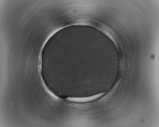 X0000098041132200804181249