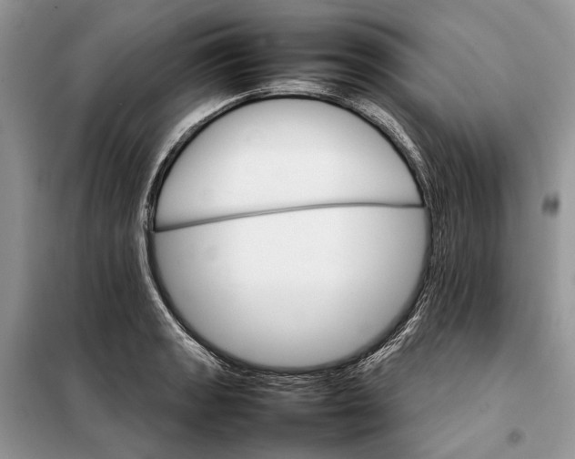 X0000098041133200804181249