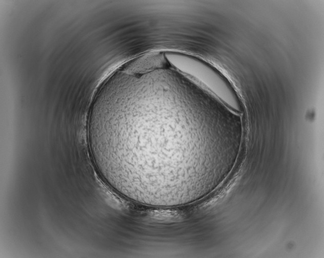 X0000098041137200804181249