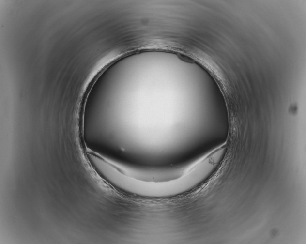 X0000098041138200804181249