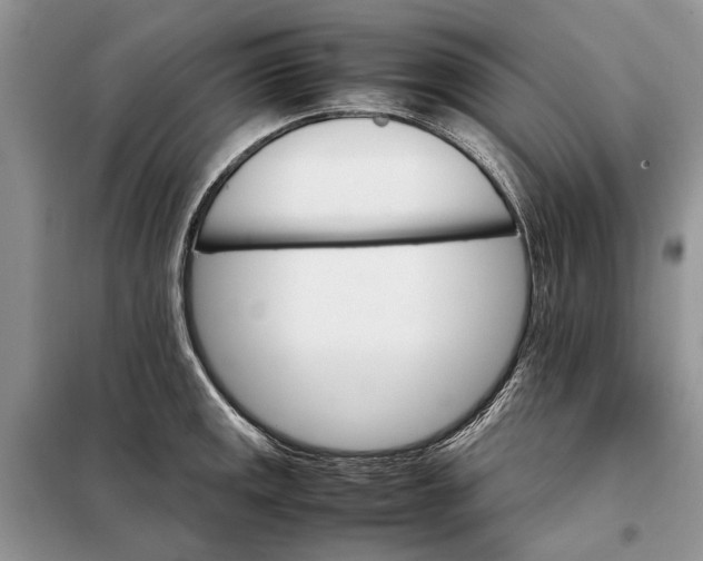 X0000098041141200804181249