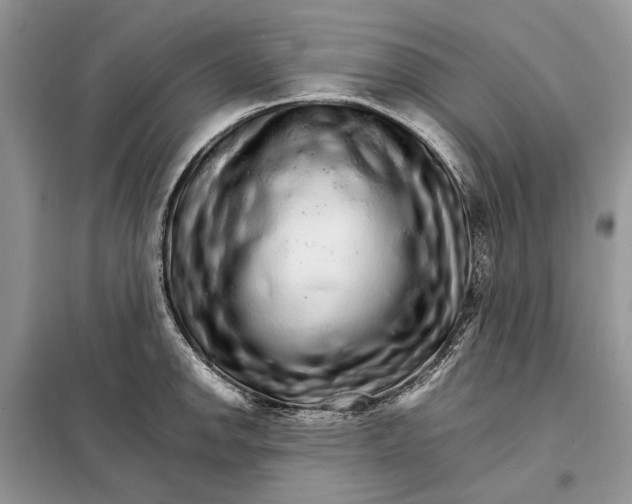 X0000098041142200804181249